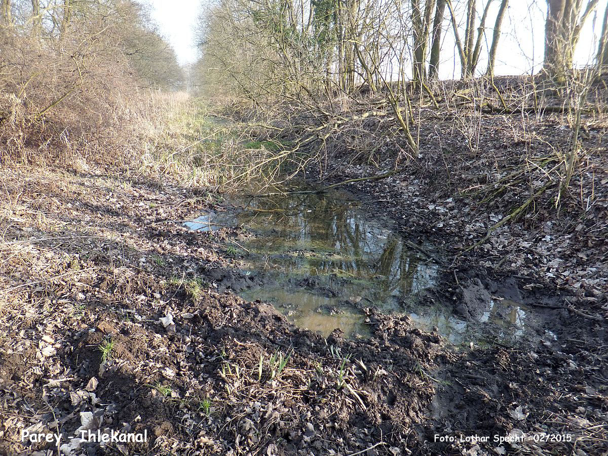 03-Parey-Am_alten_Ihlekanal-2015_02_16-001 Kopie.jpg